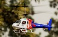 /album/photo-gallery-2-4ghz-4ch-big-lama/big-lama-3-jpg/